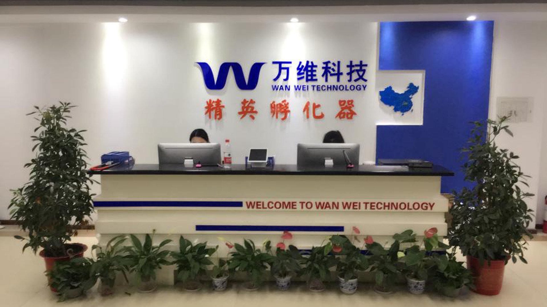 向日葵网络科技
